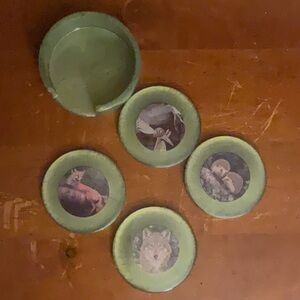 Green Retro Wildlife 5 Piece Coaster Set